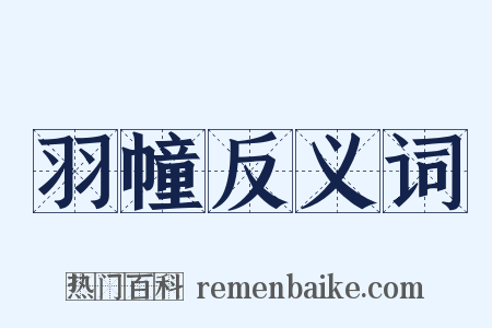 羽幢反义词是什么意思的图片